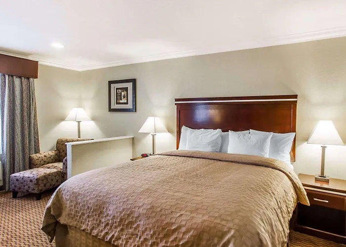 Super 8 By Wyndham Downtown Near Convention Center 4*