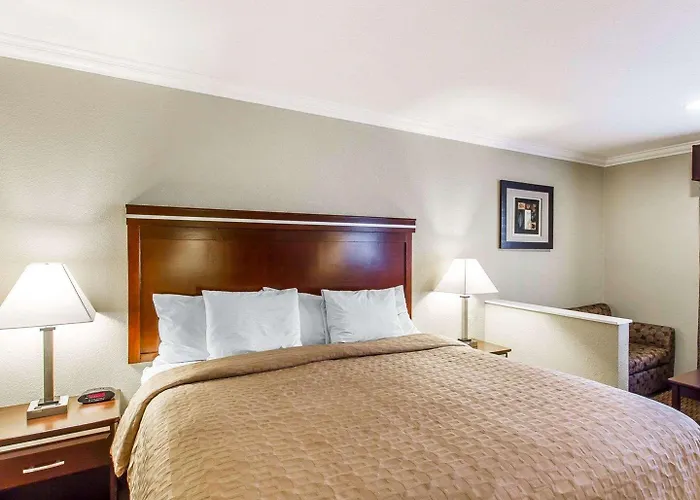 Super 8 By Wyndham Downtown Near Convention Center Mesa